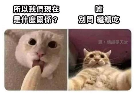 所以我們現在是什麼關係